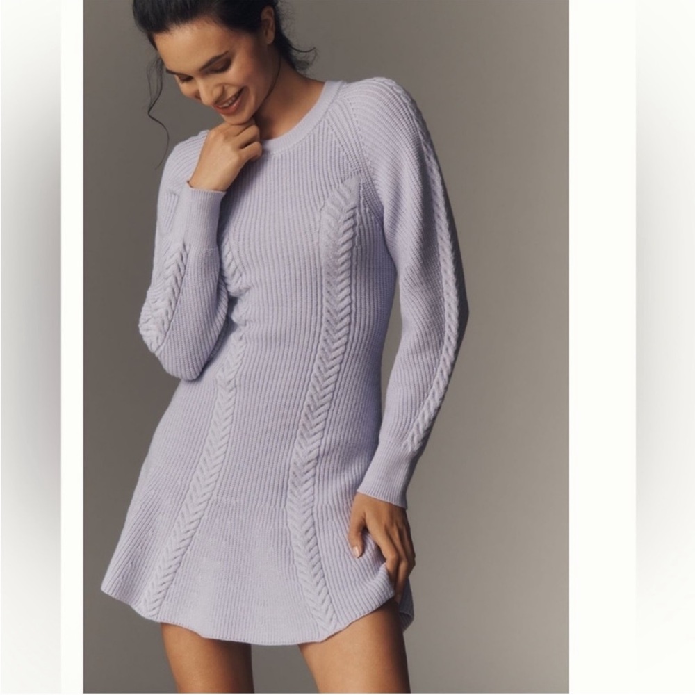 Nwt lavender sweater skater dress